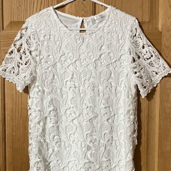 Gray + Bleu White Lace Sheath Mini Dress with Crew Neck and Short Sleeves Large - Picture 2 of 10